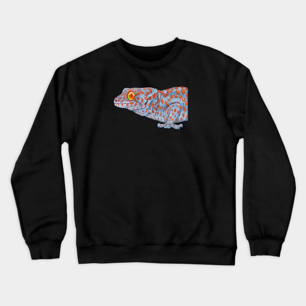 Tokay Gecko Crewneck Sweatshirt by Tim Jeffs Art